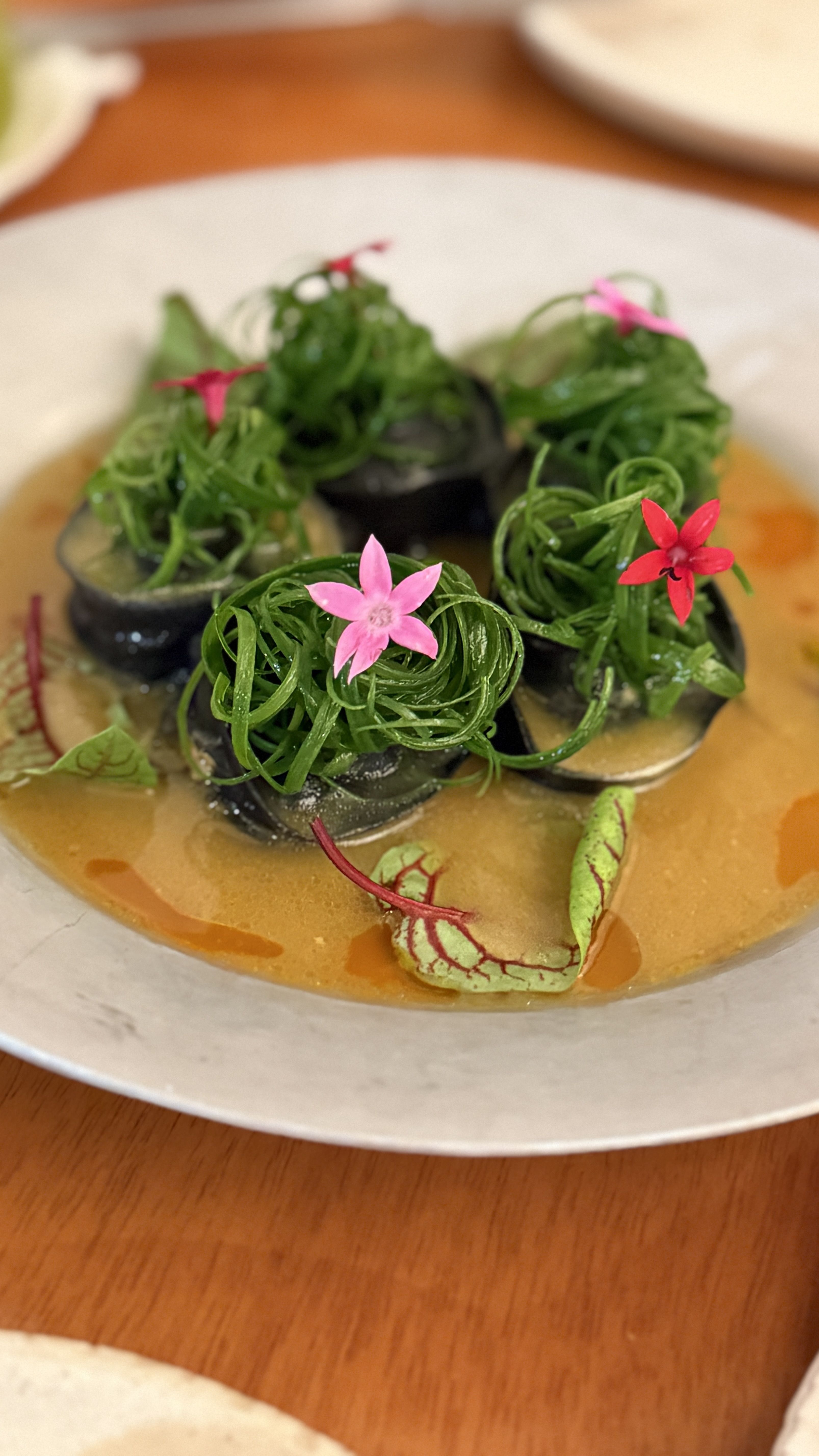 Dumpling com cogumelos e tucupi • Tina Bini