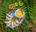 Thiago Castanho lidera Festival Amazônico de Gastronomia em agosto