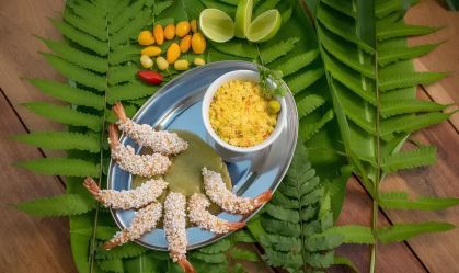 Thiago Castanho lidera Festival Amazônico de Gastronomia em agosto