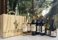 Mirando sustentabilidade, vinícola “purista” lança vinhos com selo da COP30