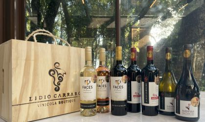Mirando sustentabilidade, vinícola “purista” lança vinhos com selo da COP30