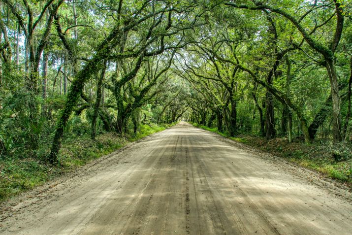 Edisto Island, parte do arquipélago Sea Islands • Mick Haupt/Unsplash
