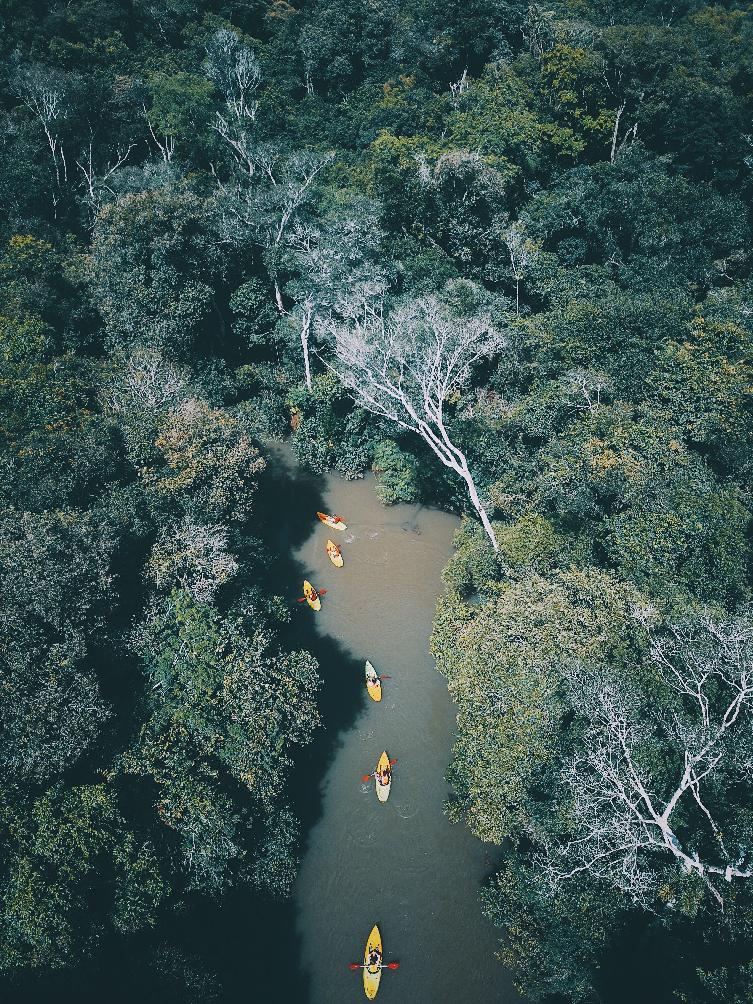 Caiaques no rio Paraná • Divulgacao/Awasi Iguazú