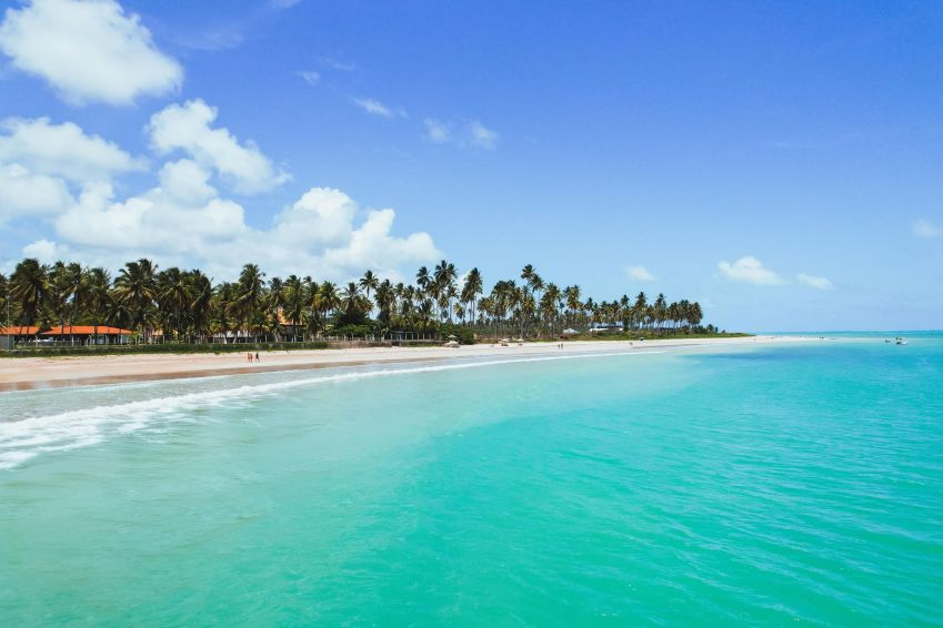 Praia do Marceneiro tem areia branquinha e coqueiros, além de água azul calma e morna • Divulgação