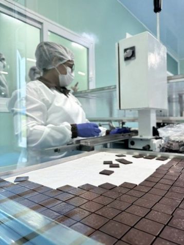 Produção de chocolate "bean-to-bar" ganha holofotes no Sul da Bahia • Carolina Daher