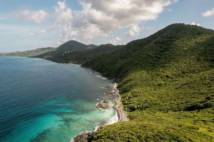 Saint Croix tem praias tranquilas e áreas de floresta tropical • Unsplash/Caleb Holden