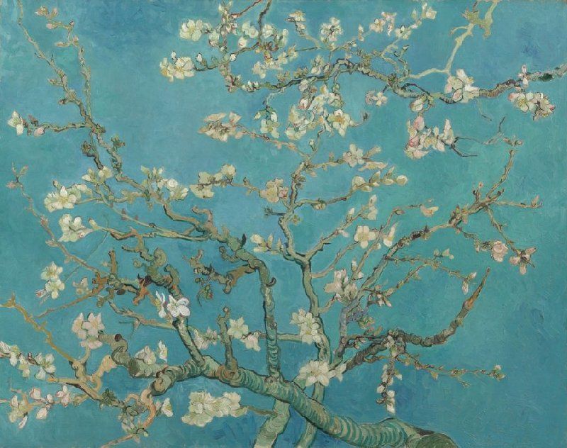 "Amendoeira em Flor", Vincent van Gogh (1853 - 1890), Saint-Rémy-de-Provence, Fevereiro de 1890 • Van Gogh Museum, Amsterdam (Vincent van Gogh Foundation)
