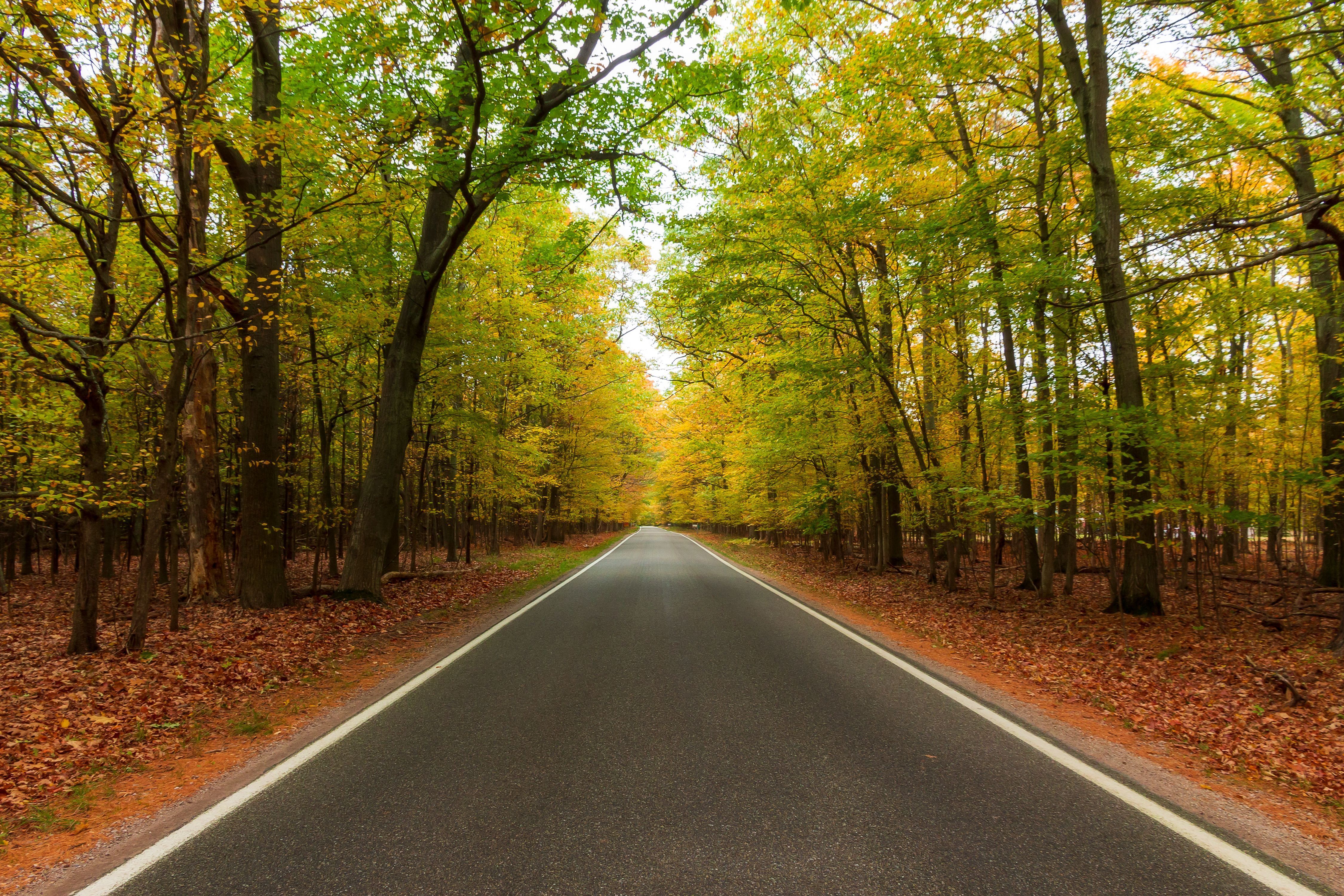 M-119, Michigan: região tem grandes lagos e o "túnel das árvores" • Clicked by Avik Chakraborty/Getty Images
