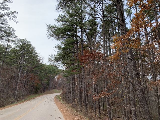 Especialistas em turismo do Missouri dizem que o Elephant Rocks State Park é uma parada especial em qualquer viagem cênica pela Ozark Run Scenic Byway • Divulgação/OzarkRun.org
