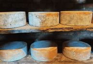 Mantiqueira mostra que o estado não vive só de Queijo Minas Artesanal