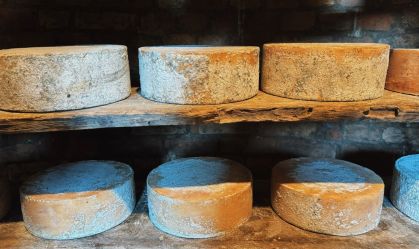 Mantiqueira mostra que o estado não vive só de Queijo Minas Artesanal