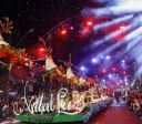 Gramado se prepara para receber 2,8 milhões de turistas durante o Natal Luz