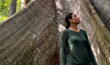 Entenda por que árvores robustas são raras na Floresta Amazônica