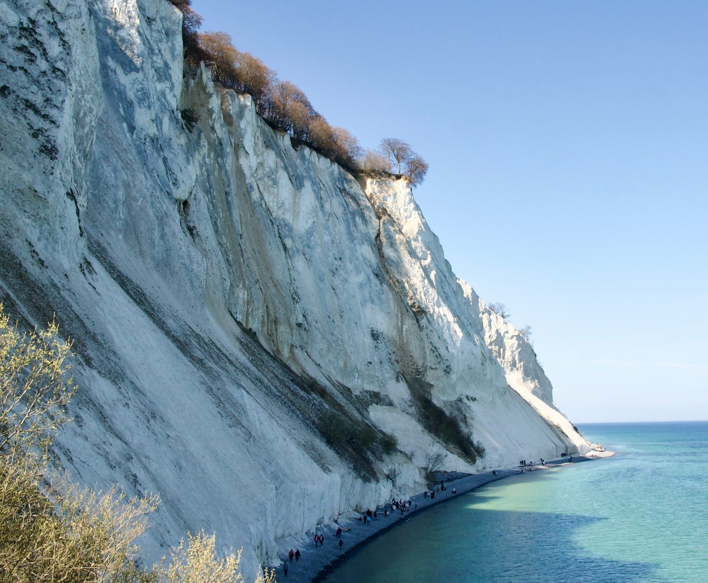 Penhascos de calcário Møns Klint ficam em ilha a duas horas de Copenhague, na Dinamarca • Unsplash