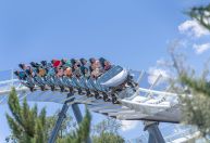 Além de adrenalina, parques SeaWorld têm lado família e de conservação