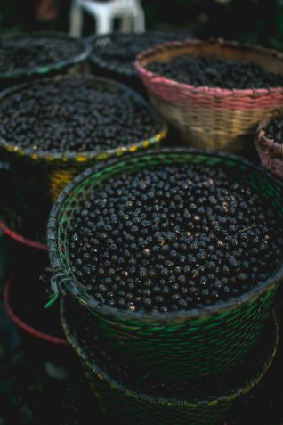 Açaí  • Bruna Brandão - MTur