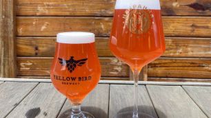 Melhor cerveja do Brasil é do Paraná e tem polpa de amora e morango