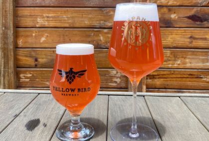 Melhor cerveja do Brasil é do Paraná e tem polpa de amora e morango