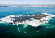 Ilha dos Lobos é reaberta a turistas esportivos após 7 anos