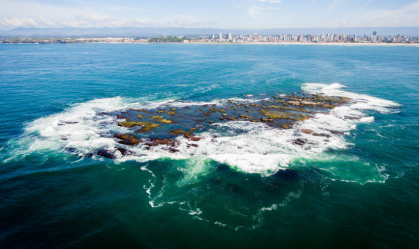Ilha dos Lobos é reaberta a turistas esportivos após 7 anos