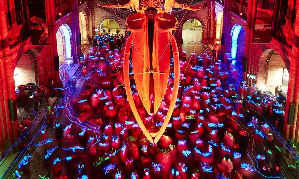 Natural History Museum: discoteca silenciosa