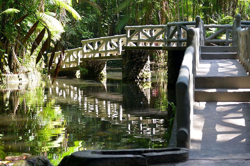 Bosque Rodrigues Alves Jardim Zoobotânico da Amazônia