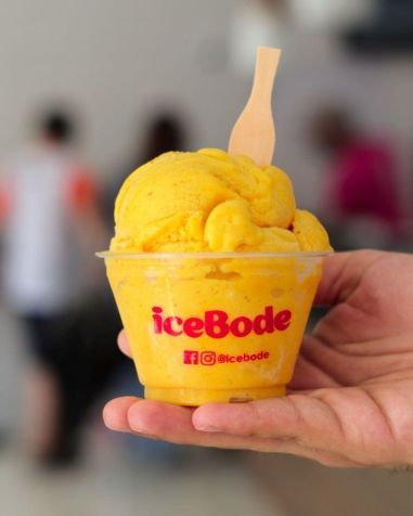 Ice Bode • Divulgação