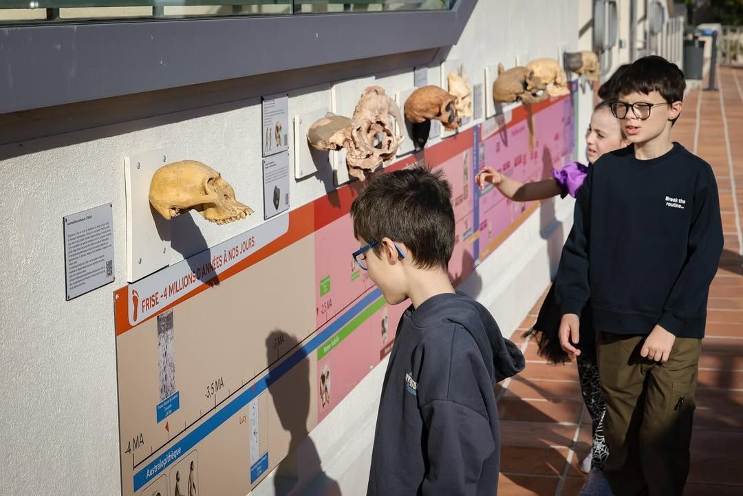 Espaço conta com fósseis e restos arqueológicos da região de Mônaco, França e Itália • Instagram/Musée d'Anthropologie Préhistorique Monaco