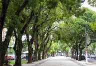 Em Belém, Praça da República oferece cultura e gastronomia aos domingos