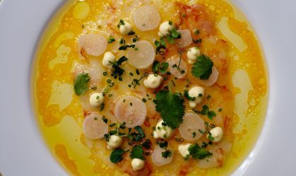 Montevidéu além do óbvio: conheça Pocitos, Punta Carretas e mais