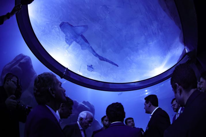 Aqu&aacute;rio re&uacute;ne esp&eacute;cies de &aacute;gua doce e salgada em Foz do Igua&ccedil;u &bull; Jonathan Campos/AEN