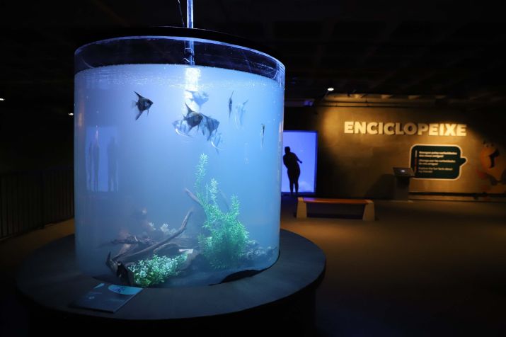 AquaFoz soma um total de 3,3 milh&otilde;es de litros d' &aacute;gua &bull; Ari Dias