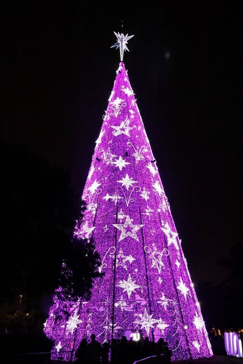 Árvore de Natal do Ibirapuera é a maior da cidade, com 57 metros de altura • Divulgação/Urbia