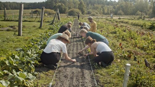 Cena do documentário "Compartilhando a Colheita"