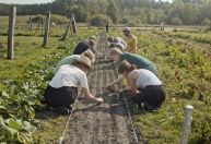 Festival gratuito promove sessões de cinema e degustações em São Paulo