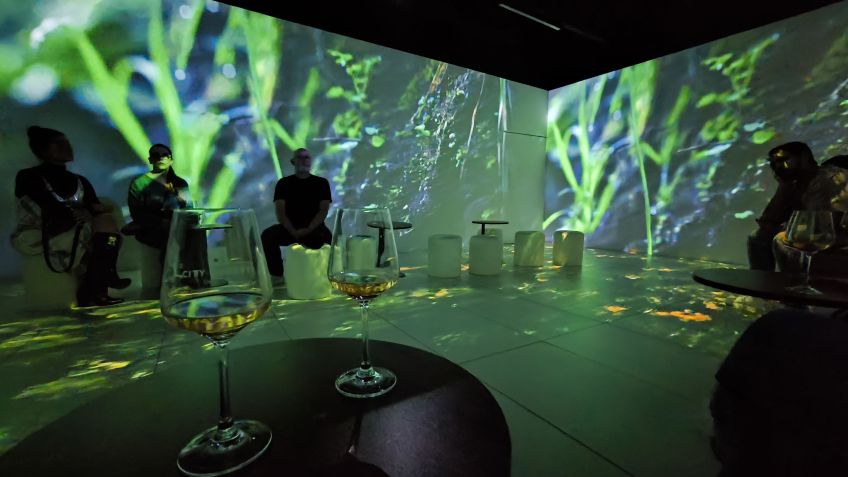 No City Winery, projeo imersiva conta a histria da viticultura uruguaia  Divulgao