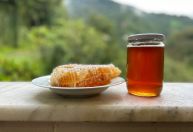 Conheça "mel louco", produzido só em 2 países e usado para derrubar ursos