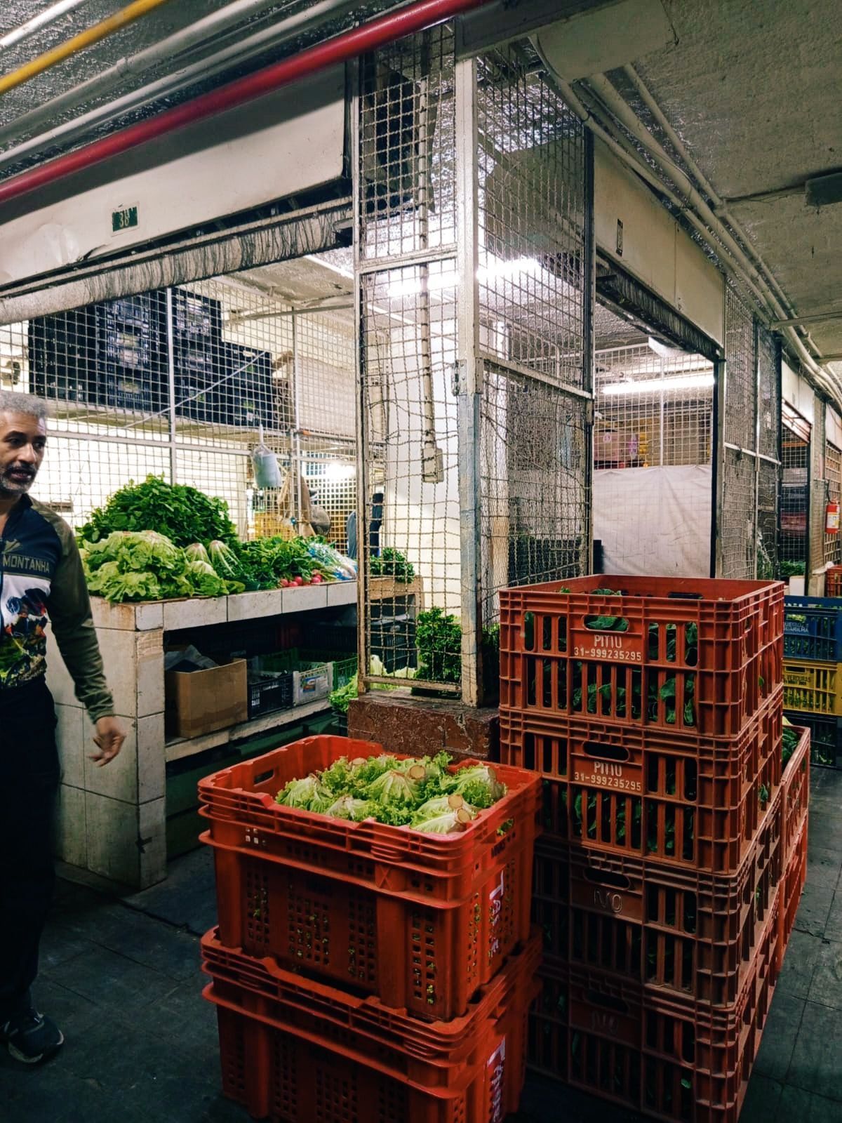 Todos os dias, o Mercado Novo recebe, ainda de madrugada, feirantes que vendem inúmeros ingredientes que abastecem as cozinhas dos restaurantes da cidade • Carolina Daher