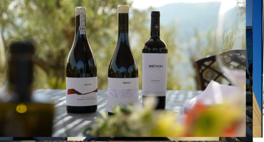 Vinhos de Portugal percorre regiões emblemáticas e históricas da produção de vinhos • CNN