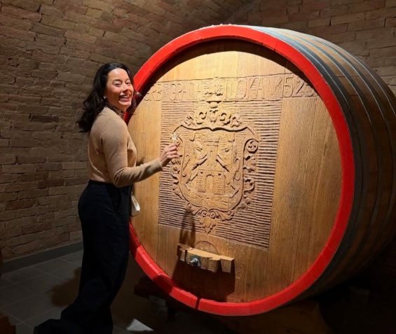 Nos arredores de Vukovar fica a região vinícola de Ilok, uma das mais antigas e prestigiadas da Croácia • CNN Viagem & Gastronomia