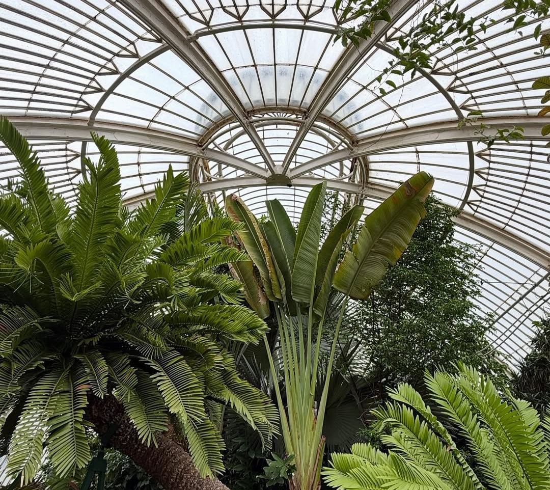 Descubra os 10 jardins botânicos mais buscados do mundo em 2025