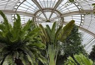 Descubra os 10 jardins botânicos mais buscados do mundo em 2025