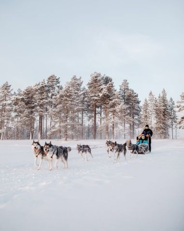 Passeio com cães atravessa paisagens nevadas • Instagram/Bearhill Husky Tours