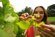 Vinhos de Portugal: os rótulos favoritos dos brasileiros