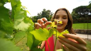 Vinhos de Portugal: os rótulos favoritos dos brasileiros