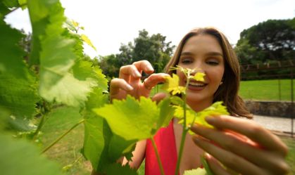 Vinhos de Portugal: os rótulos favoritos dos brasileiros