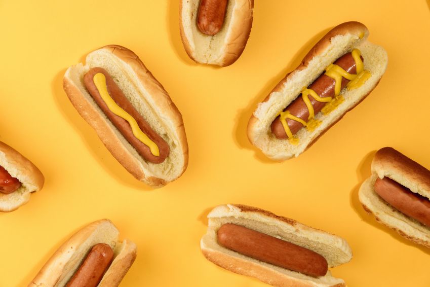 Origem do nome "Hot Dog" é uma das mais curiosas da gastronomia e tem relação direta com o cachorro da raça Dachshund, conhecido popularmente no Brasil como salsichinha • Unsplash