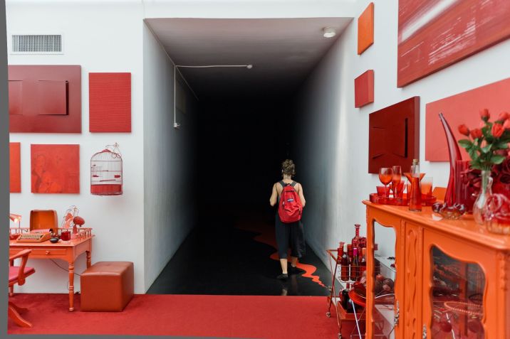 Cildo Meireles, Desvio para o vermelho II: Entorno, 1967-1984, Instituto Inhotim • William Gomes