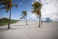 Praia de nudismo mais popular dos Estados Unidos fica em Miami