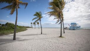 Praia de nudismo mais popular dos Estados Unidos fica em Miami